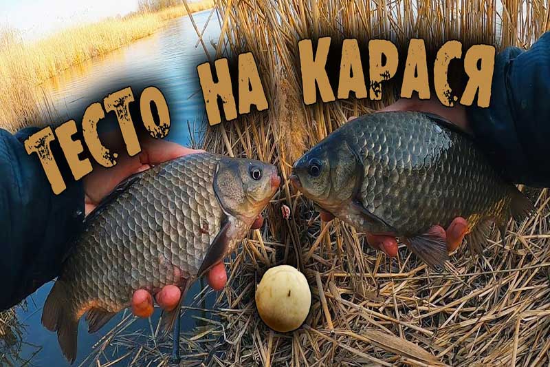 Лучшая насадка на карася - тесто