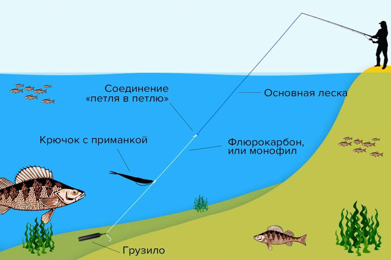 Как ловить окуня