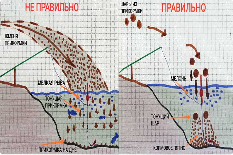 Как прикармливать рыбу