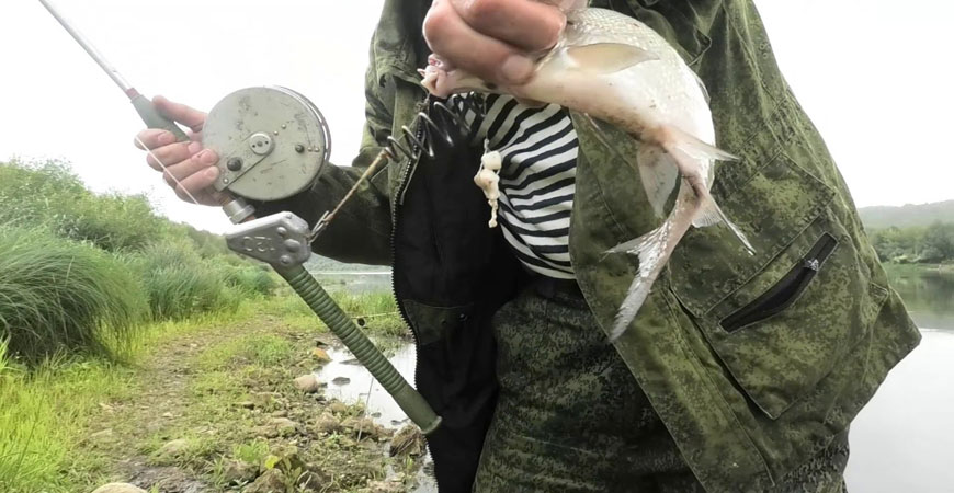 Как ловить щуку на сало: секреты успешной рыбалки