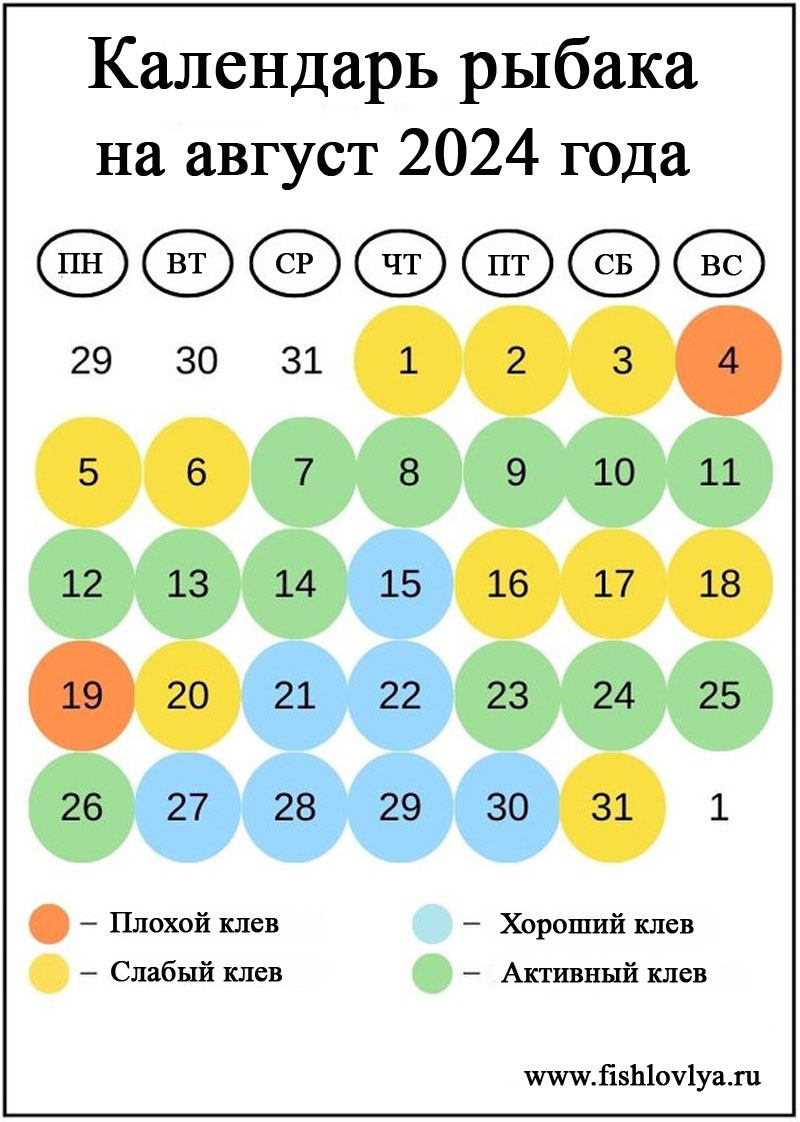 Календарь рыбака на август 2024 год – лучшие дни для рыбалки