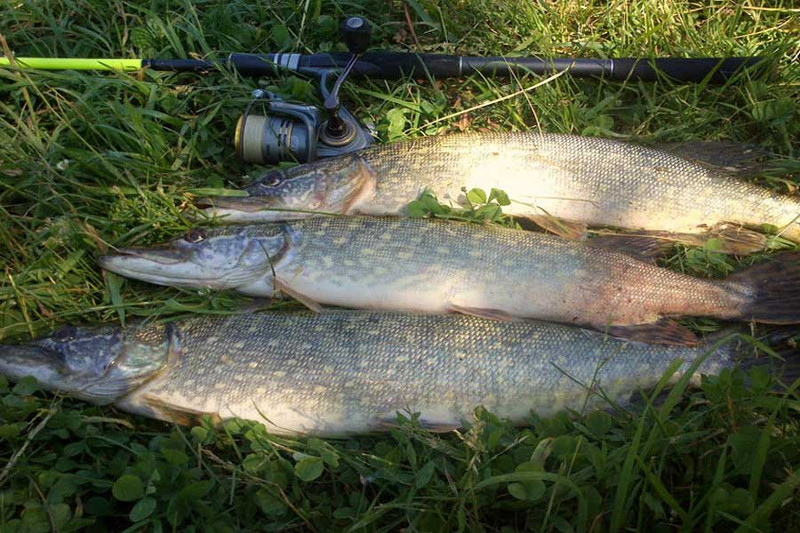 Рыбалка на Рыбинском водохранилище. Фото 6