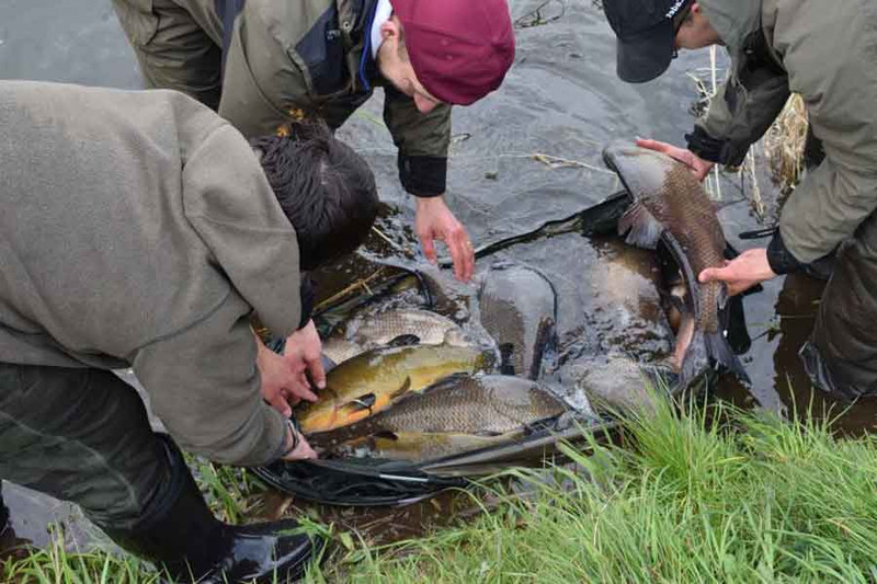 Рыбалка на Волге - удивили нас большие лещи!. Фото 11