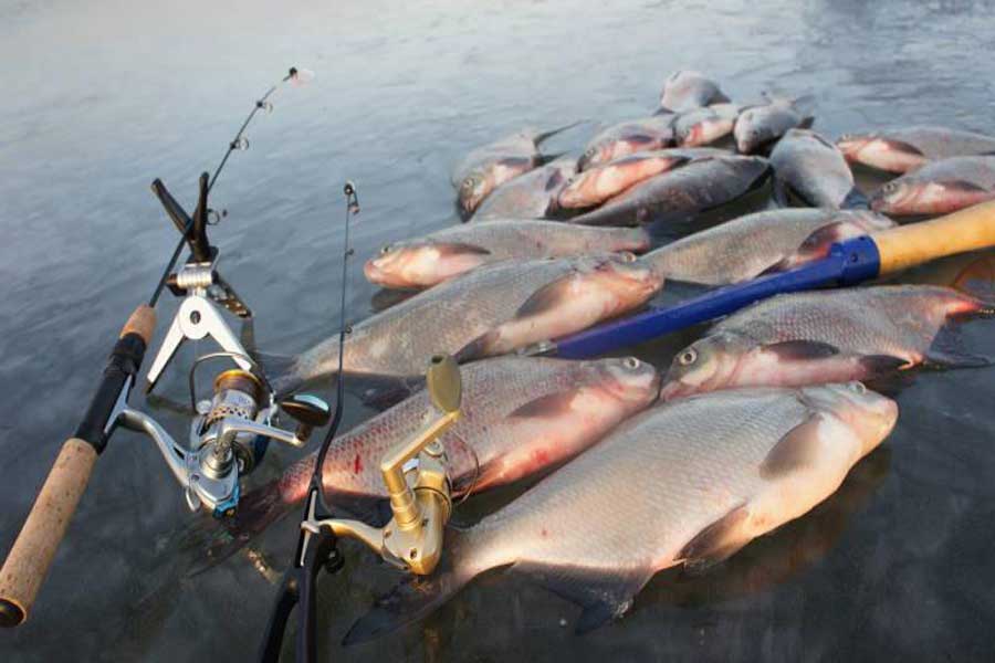 Ловля рыбы зимой на течении со льда: основные правила и снасти