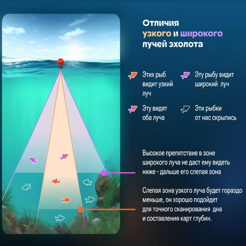 Фидерная ловля с эхолотом