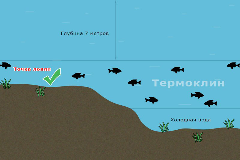 Выбор точки ловли на фидер на водохранилище