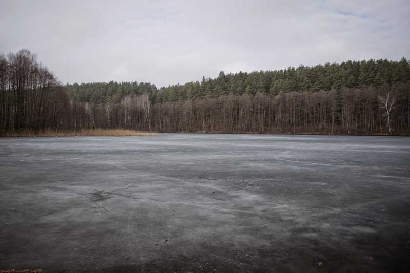 Плотву лучше "высиживать". Фото 1